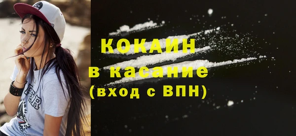 соль ск Няндома