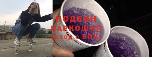 соль ск Няндома