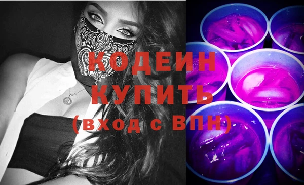 соль ск Няндома