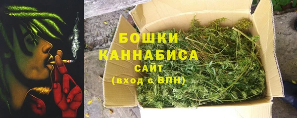 соль ск Няндома