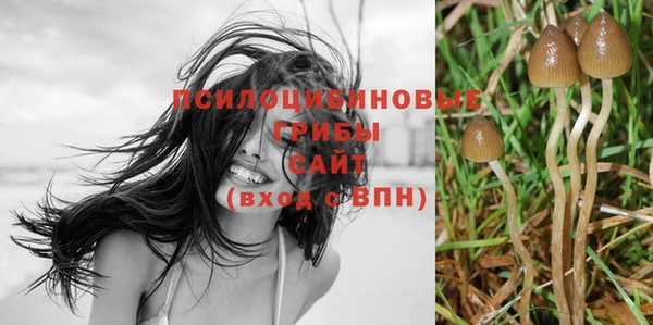 соль ск Няндома