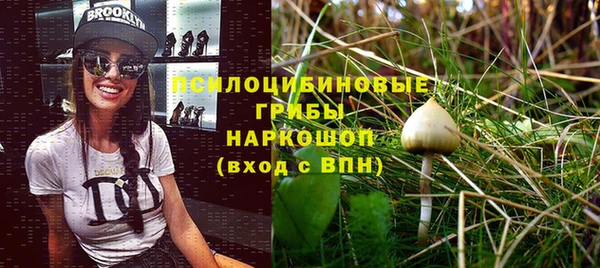 ALPHA PVP Нягань